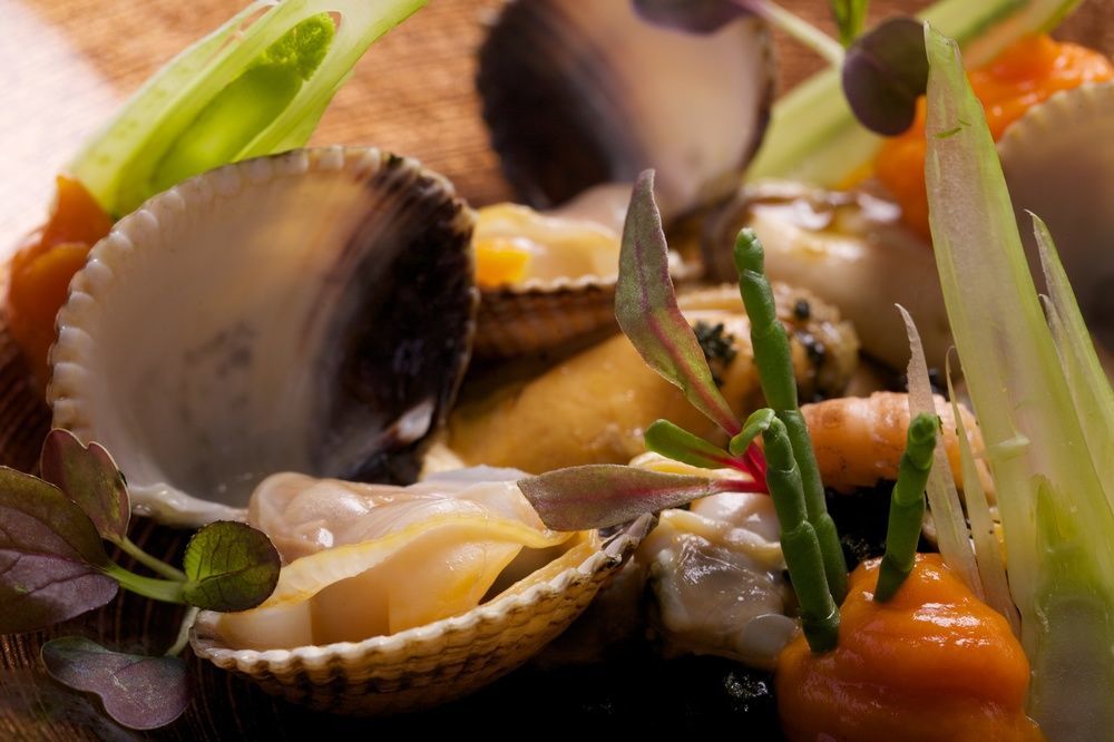 Terhills Hotel Maasmechelen Ngoại thất bức ảnh
